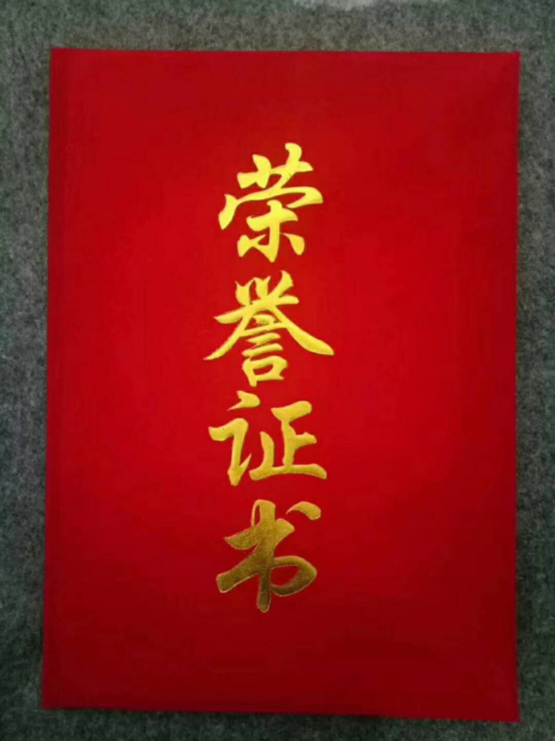 榮譽證書1.jpg